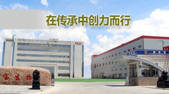 �ڴ����д������� 2121�Ƿ����ﱻ���衰���ɹ����ֺš��ƺ�