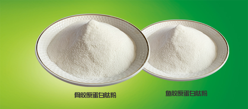 1583732140376404.jpg 骨+鱼胶原卵白.jpg